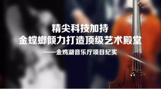 201709180937333592 九五至尊VI-老品牌值得信赖!