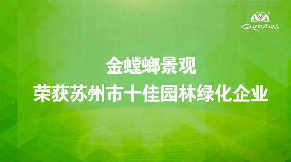 201906190908026167 九五至尊VI-老品牌值得信赖!