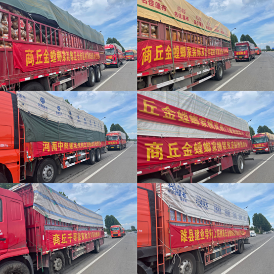 202107301540563606 九五至尊VI-老品牌值得信赖!